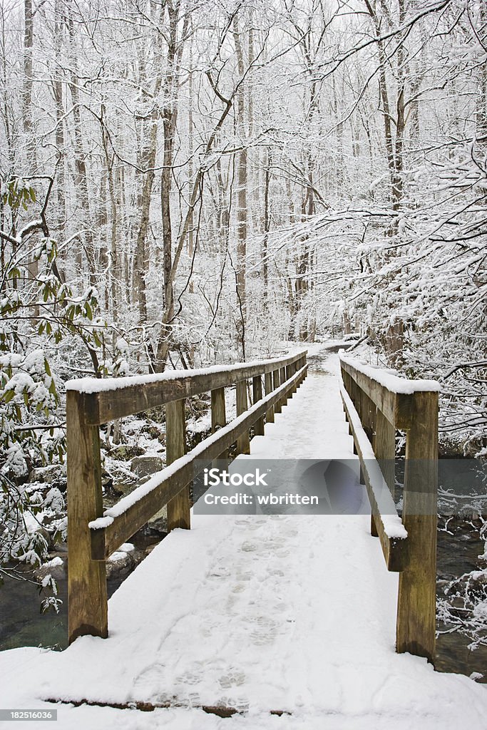 Passarela de inverno - Foto de stock de Appalachia royalty-free