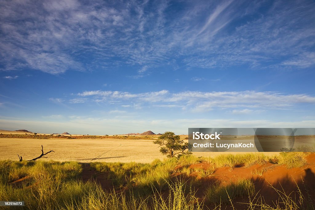 Steppe in der Morgensonne - Lizenzfrei Afrika Stock-Foto