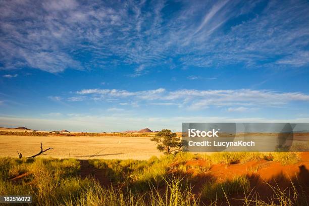 Steppe In Der Morgensonne Stockfoto und mehr Bilder von Afrika - Afrika, Ausgedörrt, Baum