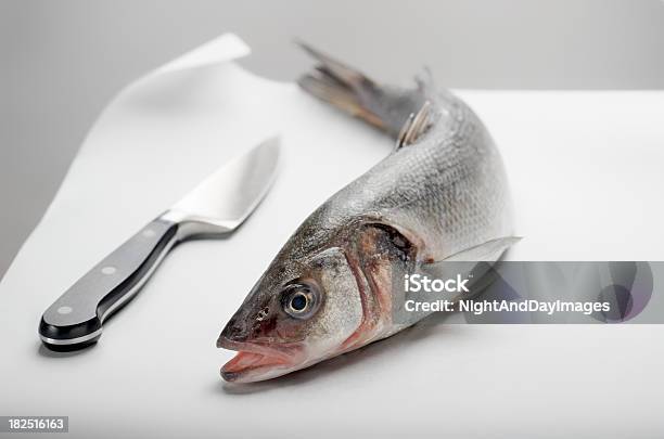 Fresco Intero Seabass - Fotografie stock e altre immagini di Pesce - Pesce, Ragno, Ambientazione interna