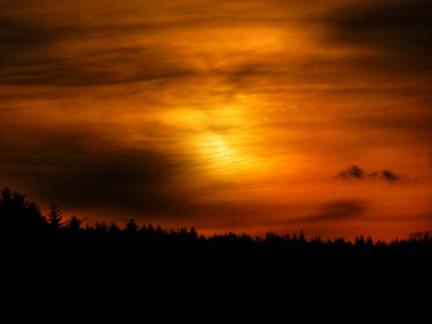 istock Beautiful sunrise over the forest 1825163911