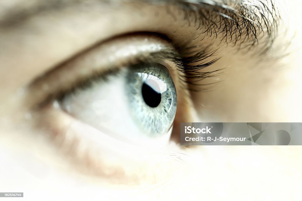 Olhos para a frente - Royalty-free Olho Foto de stock