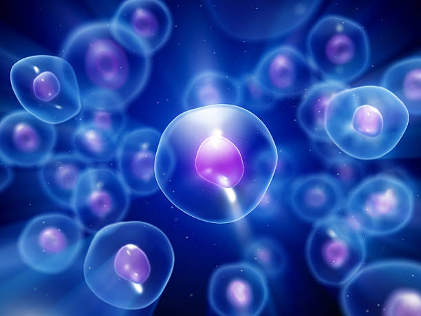 gruppo di colore blu sotto microscopio celle - ovulo foto e immagini stock