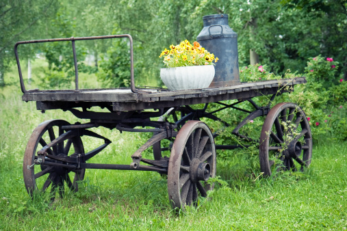Old wooden cart used as garden decor.