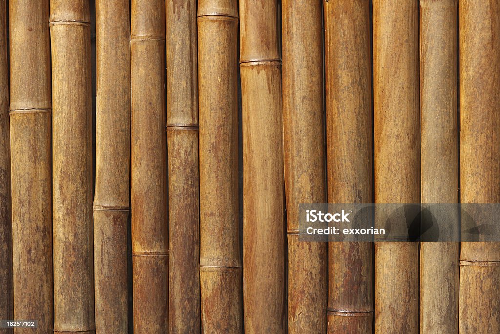 Bamboo Fence Bamboo fence backgroundView our relative files here... Bamboo - Material Stock Photo