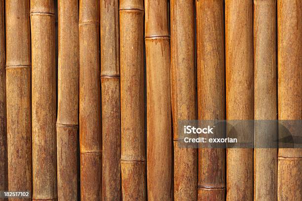 Bamboo Fence Stock Photo - Download Image Now - Bamboo - Material, Bamboo - Plant, Pole