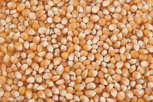 Mais grain textured stock photo