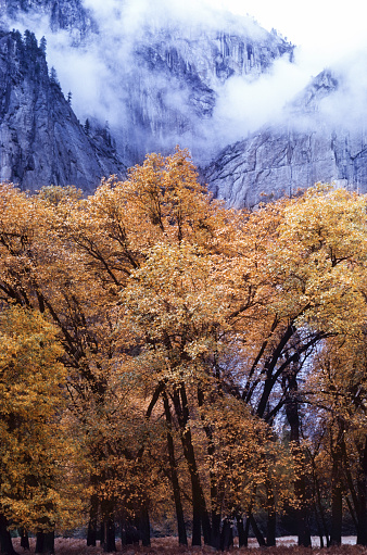 Autumn view of El Yosemite Valley with low clouds interspersed along the sides of the valley wall.

Taken in Yosemite National Park, California, USA.