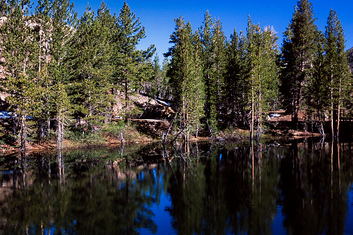 High Sierra Lake with Reflections
