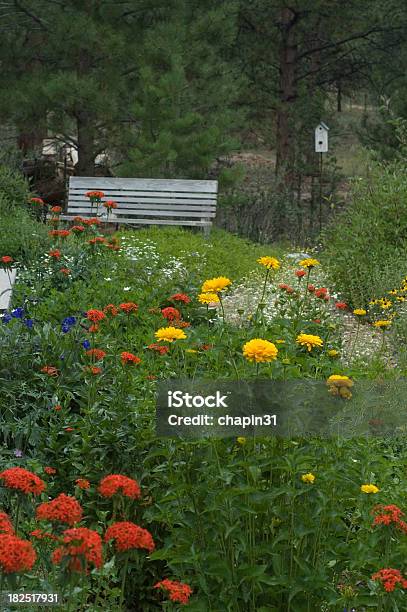 Garden Bench And Flowers Stock Photo - Download Image Now - Anemone Flower, Beauty In Nature, Bench