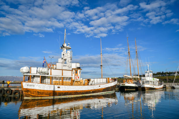 Husavik, Iceland - September 9, 2022: Whale watching boats anchored in Husavik harbor in Iceland during sunny day in September 2022
