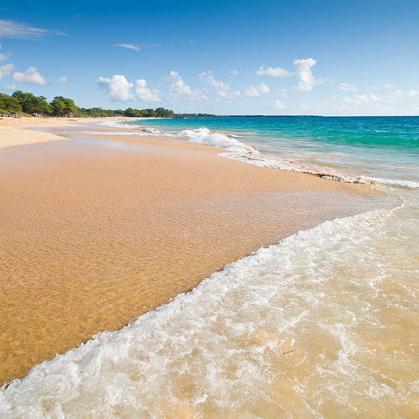 bellissima spiaggia di makena hawaii - maui beach palm tree island foto e immagini stock