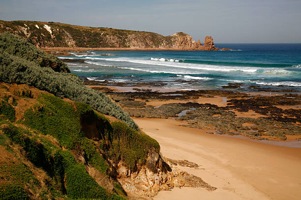 Nicely formed waves break on the rugged coastline of Phillip Island. A jagged headland juts out to sea in the background.  The foreground has vegetation covering the cliff faces.