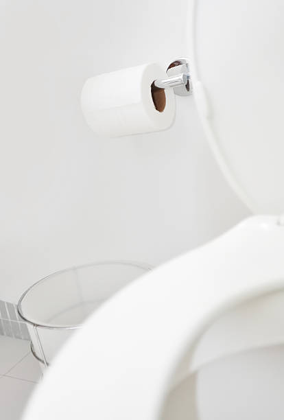 istock Bathroom Tissue and toilette bowl 182518622