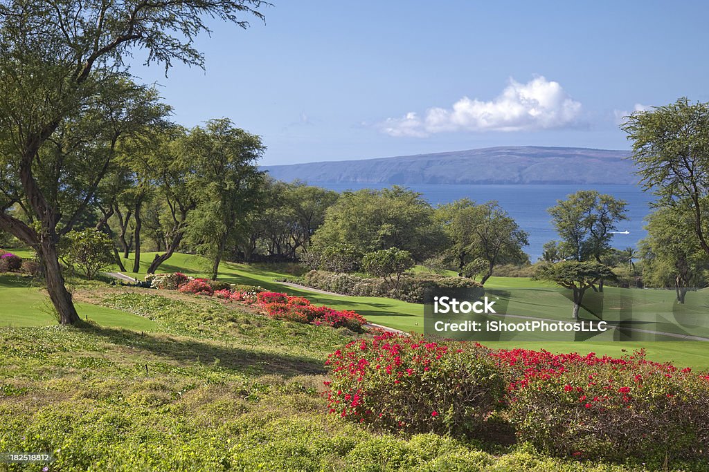 Maui campo de Golf - Foto de stock de Golf libre de derechos