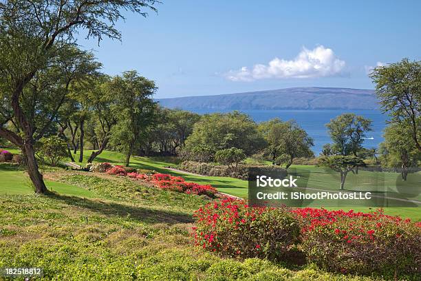 Maui Campo De Golf Foto de stock y más banco de imágenes de Golf - Golf, Lanai, Ajardinado