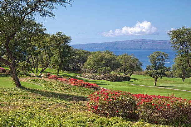 Maui Golf Course stock photo