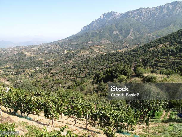 Weingut In Sardinien Stockfoto und mehr Bilder von Baum - Baum, Berg, Eisberg - Eisgebilde