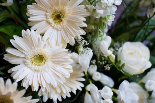 Gerbera daisies in a flower arrangement