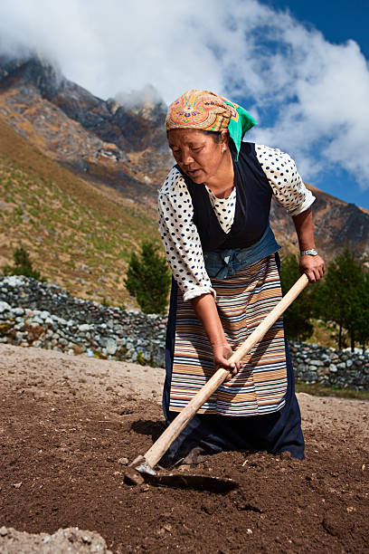 istock Nepali woman working in the field 182519004