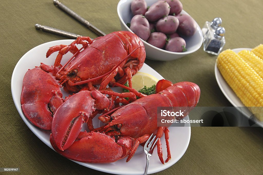 New-England-Hummer Abendessen mit zwei Einzelbetten - Lizenzfrei Hummer - Meeresfrüchte Stock-Foto