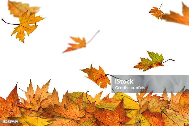Outono Está Aqui - Fotografias de stock e mais imagens de Folha - Folha, Cair, Outono