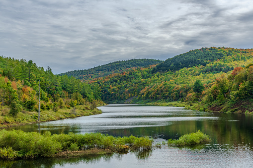 The West River flows tranquilly through the Green Mountain National Forest on a beautiful summer day hiking through Vermont.