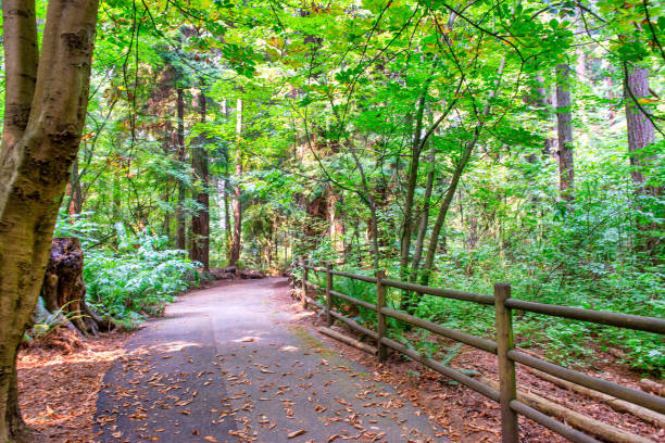 istock View of Stanley Park on a sunny day, Vancouver 1825208626