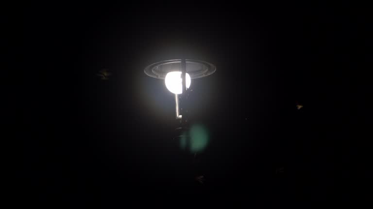 Street Lamp at night with insects