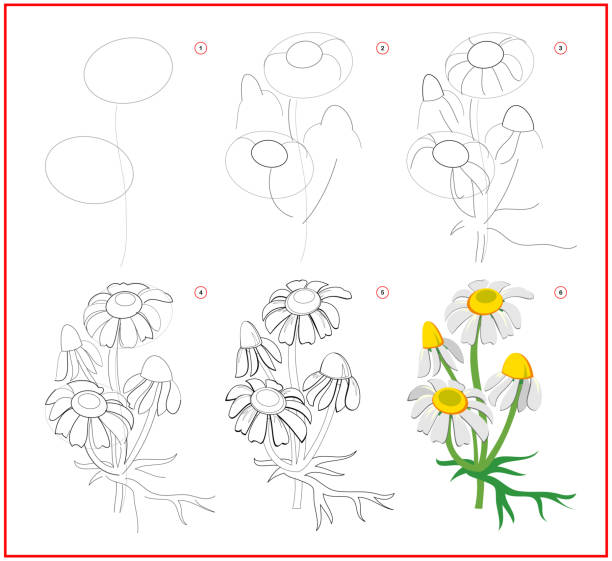 strona pokazuje, jak krok po kroku nauczyć się rysować kwiat rumianku. rozwijanie umiejętności rysowania i kolorowania u dzieci. arkusz do wydrukowania dla szkolnego zeszytu ćwiczeń dla dzieci. płaska ilustracja wektorowa. - stepwise stock illustrations