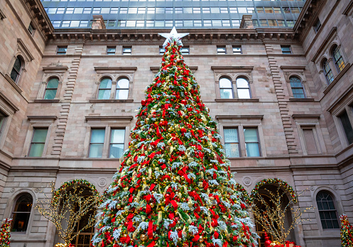 Christmas tree in New York City