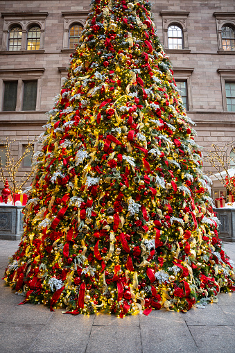 Christmas tree in New York City