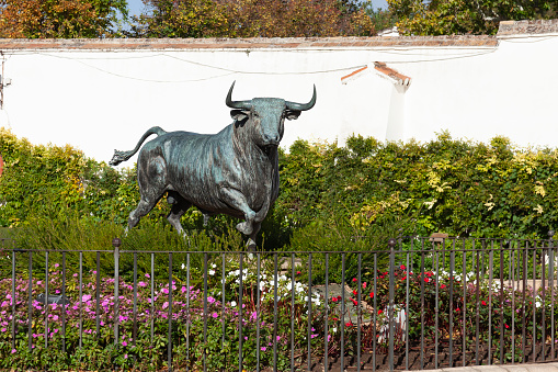 Bronze statue of a fighting bull, Toro de lidia (2005, Nacho Martin) outside the bullring in Ronda, Andalucía