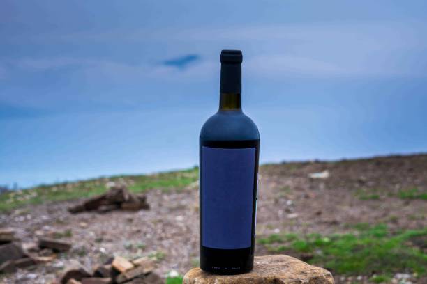 istock Bottle of wine in the mountains 1825344085