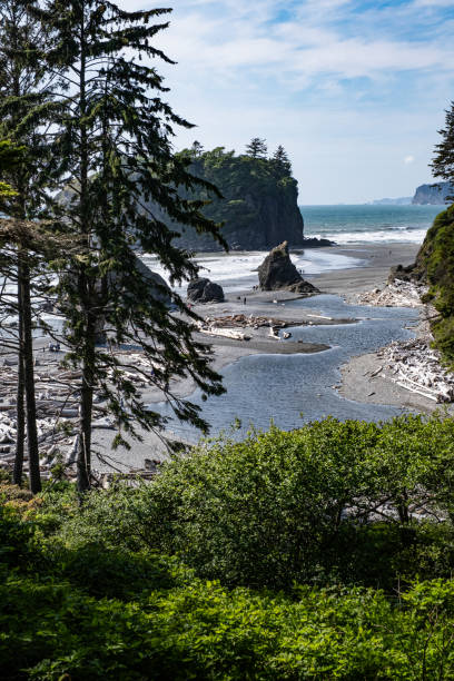 istock View of Ruby Beach from the Parking Lot 1825349049