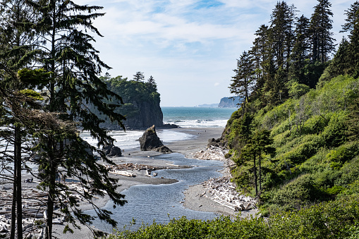 A view of Ruby Beach in Olympic National Park taken from the top of the trail from the parking lot.