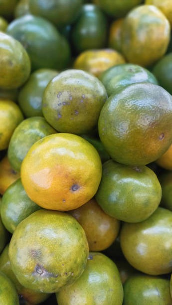 istock orange Fresh ripe juicy limes as background 1825396015