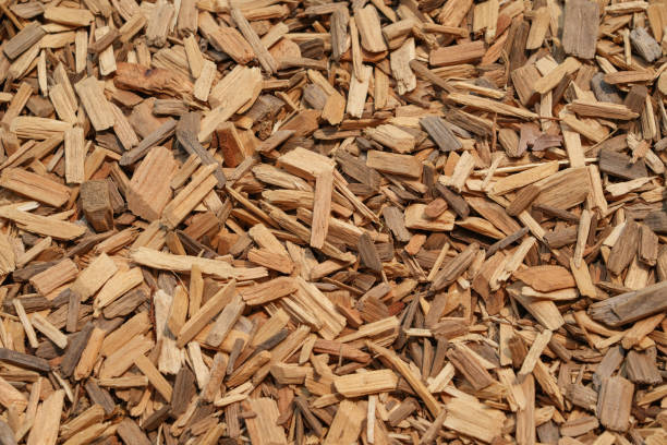 istock high angle view of mulch background in garden 1825400821