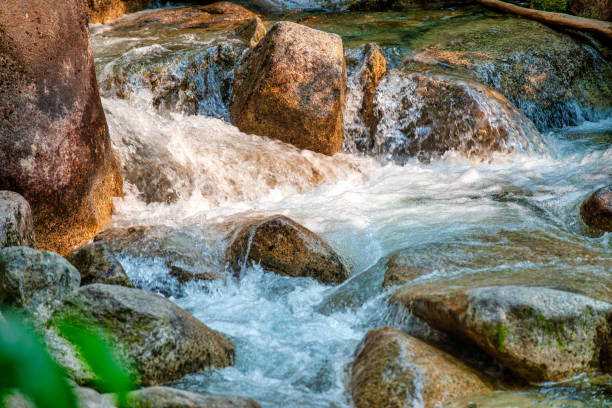 istock A creek in the park 1825434866