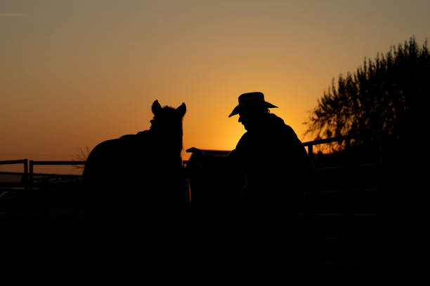 Silhouette of a young woman on horseback alongside a grassy trail near the sea beach. Concept of outdoor riding, sports and recreation. Copy space.