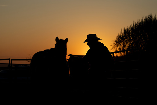 A cowboy tenderly reaches for his horse silhouetted against the setting sun