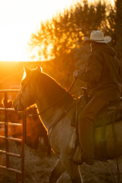 cowgirl Cowboy riding horse  at rodeo paddock arena in spanish fork of Salt lake City SLC Utah USA