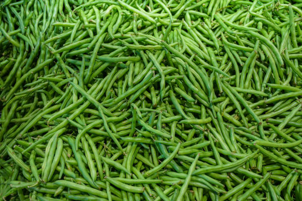 istock green beans as food background 1825522688