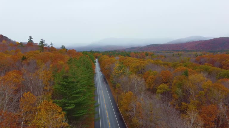 Tracking drone shot over a highway on Mount Washington, moving above the trees on the left side of the frame in New Hampshire, United States of America.