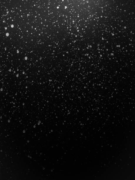 istock Falling snow on black background. Winter background in pure dark. 1825577146
