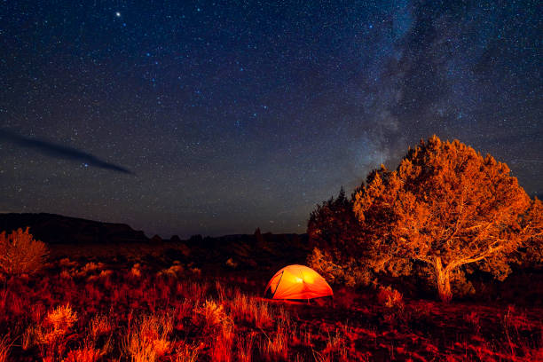 istock Camping Under the Stars in Canyon County USA 1825590133