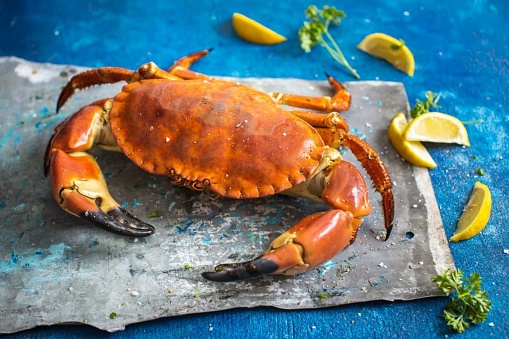 Crab is a delectable seafood dish known for its tender meat and distinctive flavor. Whether enjoyed with sauces or grilled, it promises a captivating culinary experience.