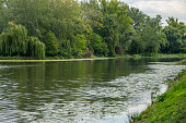 Lakeside view in Wilanow Krolewski in Warsaw, Poland