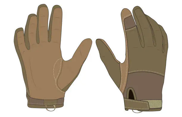 Vector illustration of Combat glove vector template with velcro wrist adjustment technical Vector Front and Back