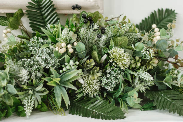 istock Green plant in a wooden box 1825632887